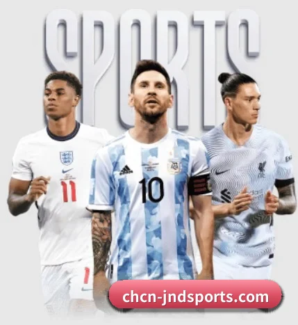 五大服务分区,信息按项目分类