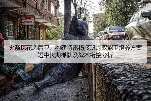 火箭探花选后卫：构建特雷杨接班的双能卫培养方案短中长期梯队及战术衔接分析